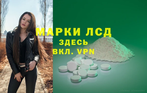 PSILOCYBIN Балахна