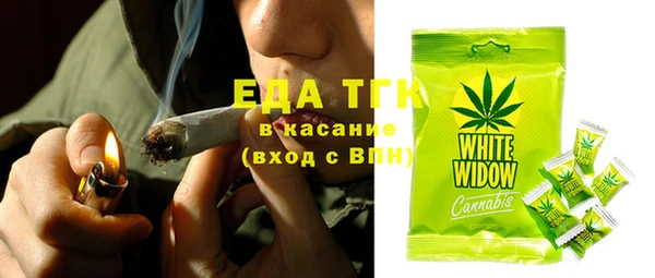 гидра Покачи