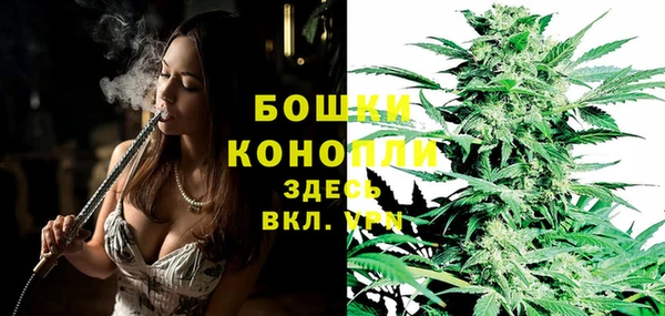 PSILOCYBIN Балахна