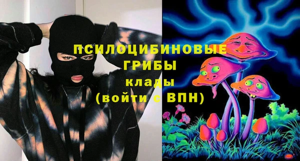 PSILOCYBIN Балахна