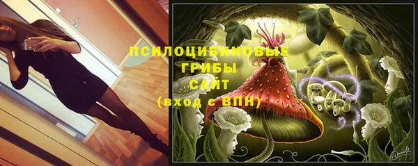 дмт Баксан