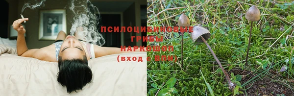 МДПВ Покровск