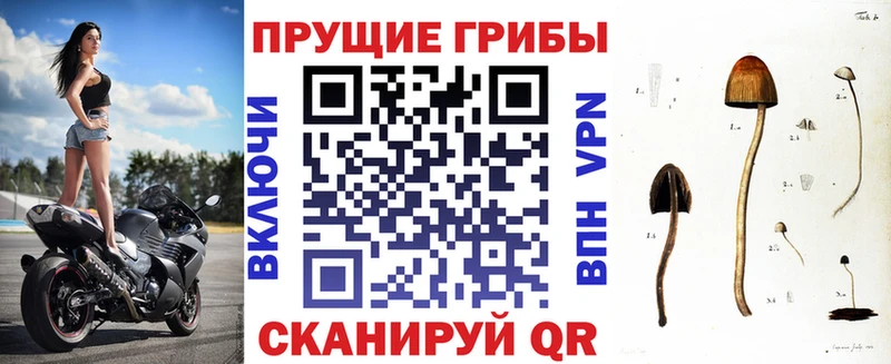 Галлюциногенные грибы мухоморы  купить наркоту  Советская Гавань 